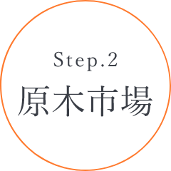 Step.2 原木市場